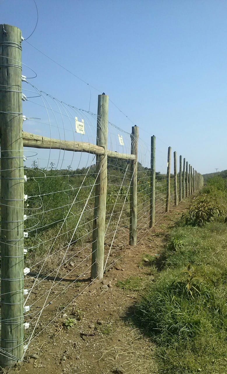 Robust reliable Electric fence for Large Farms, Agriculture, Animal conservancy and parks in Kenya